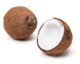 Getting to Know: Coconut Products