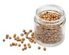 Coriander Seeds