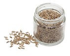 Cumin Seeds