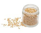 Mustard Seeds