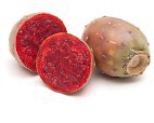 Prickly Pear