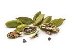 Cardamom