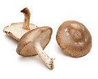 Shiitake Mushrooms