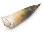Bamboo Shoots