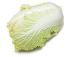 Napa Cabbage