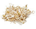 Mung Bean Sprouts