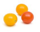 Currant
