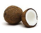 Coconut