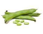 Fava Beans