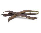 Purple Wax Beans
