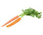 Carrot