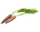 Purple Carrot