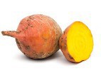 Golden Beet