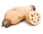 Lotus Root
