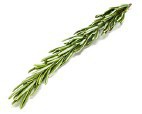 Rosemary