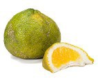 Ugli Fruit