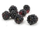 Blackberry