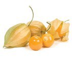 Cape Gooseberry