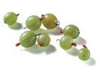 Gooseberry