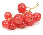 Currant