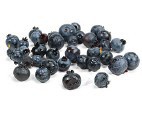 Wild Blueberry
