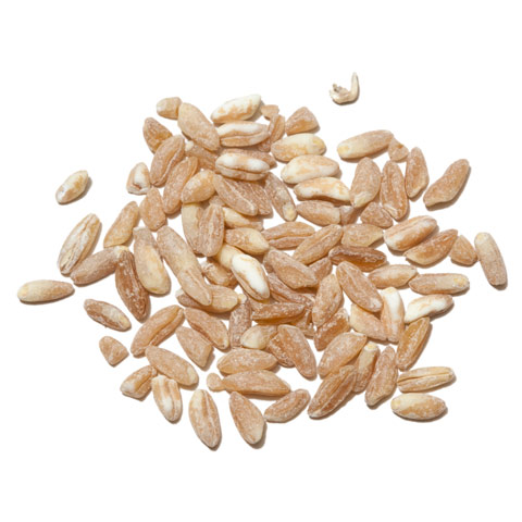 Farro