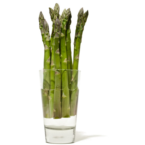 Storing Asparagus