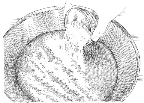 Image: https://d3cizcpymoenau.cloudfront.net/images/21670/ILO_Peach-Pie---Add-Pectin_480.jpg
