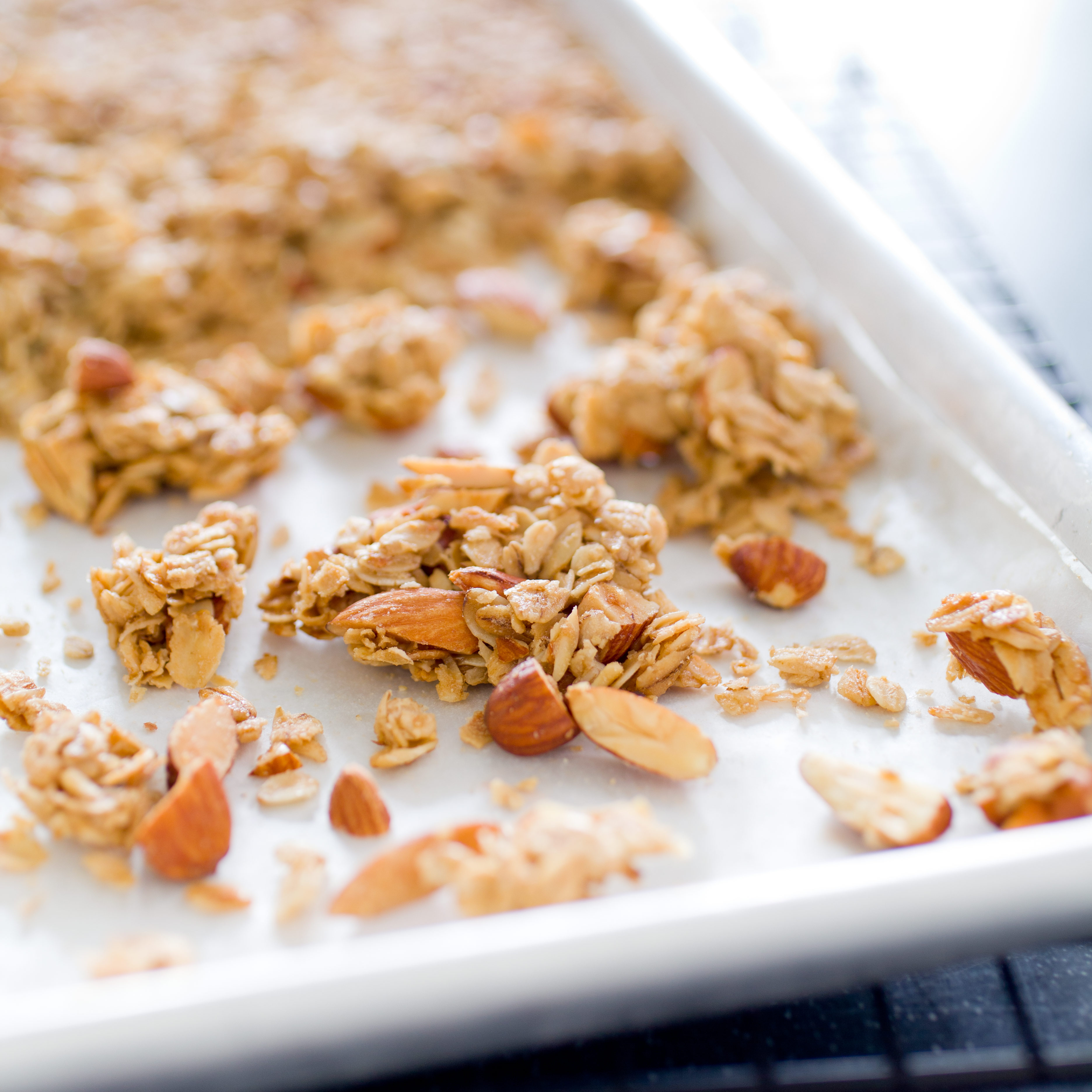 Classic Granola Cook's Illustrated