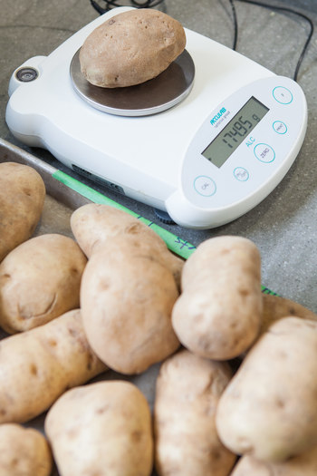 Classic Baked Potato – A Couple Cooks